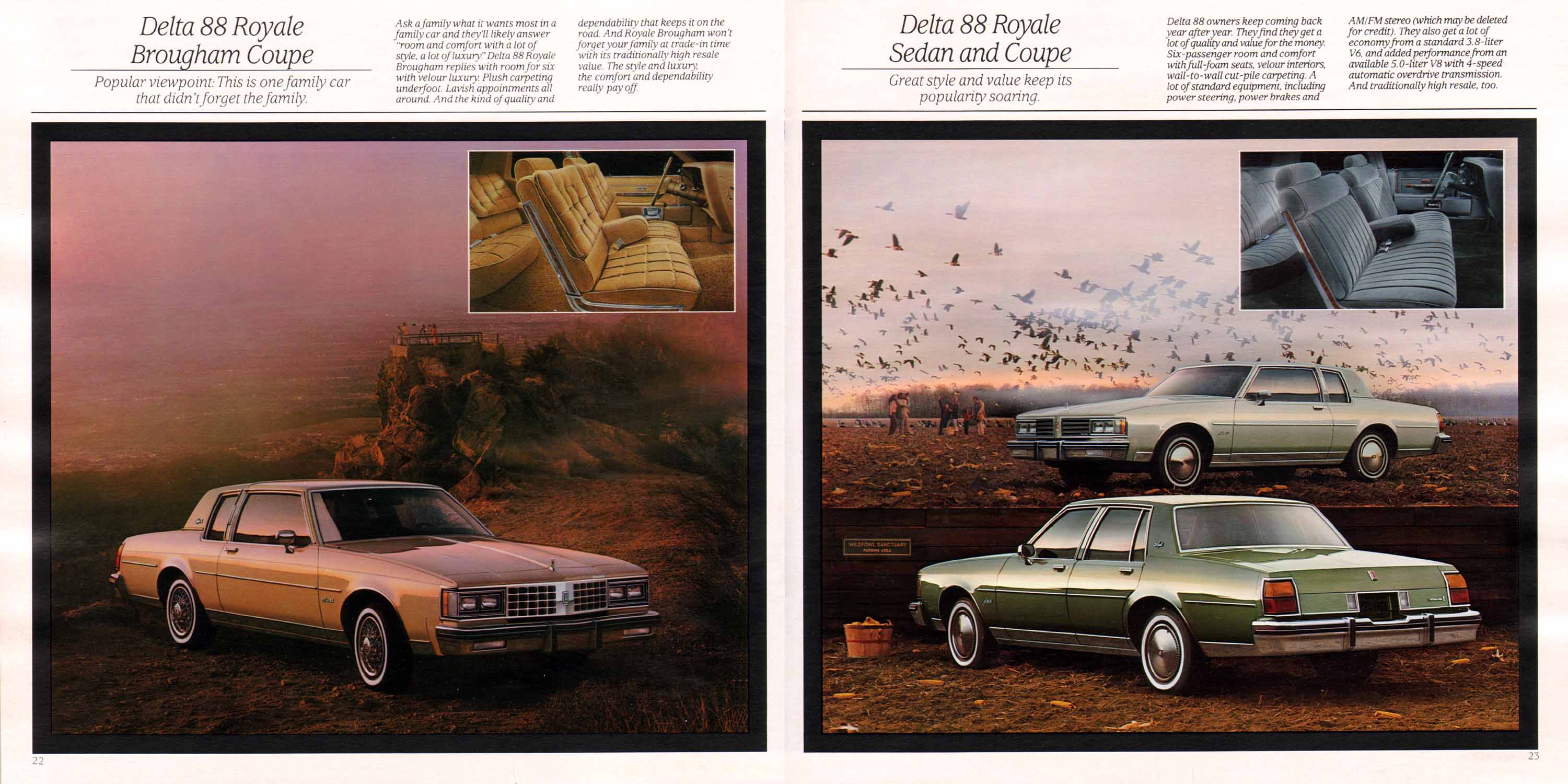 1985 Oldsmobile Full Size-22-23