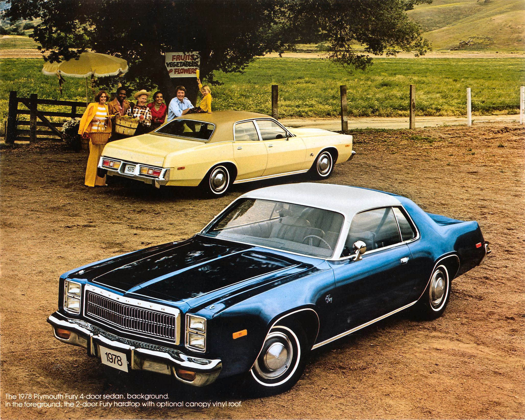 1978 Plymouth Fury-07
