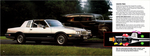 1984 Pontiac Full Line-34-35